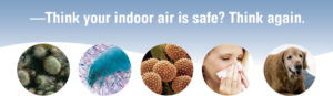 indoor air quality